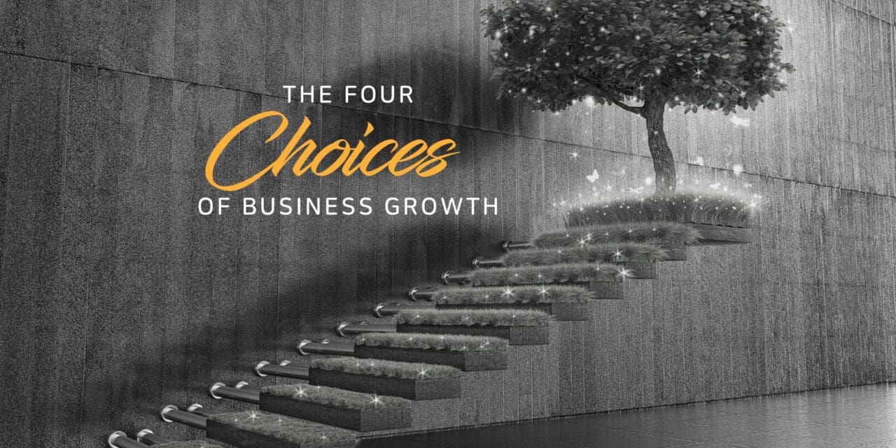 The four choices of business growth