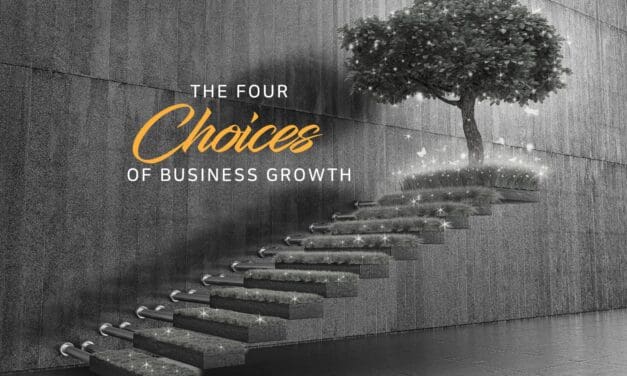 The four choices of business growth