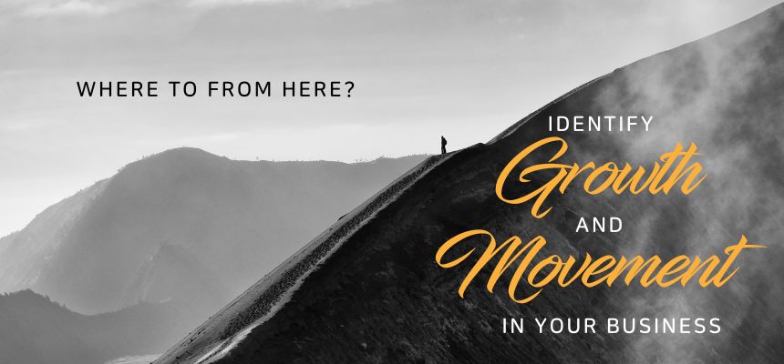 Where to from here? Identify growth, and movement in your business